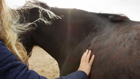 beautiful young woman stroking a horse 4k