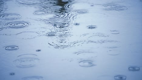 las gotas de lluvia en cámara súper lenta