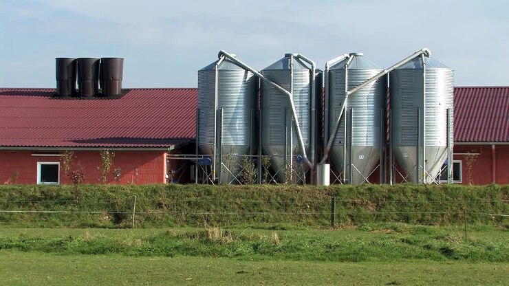Silo in front of hen or hog house near Vechta in Germany