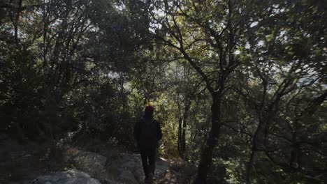 Man-wearing-hat-and-jacket-walking-down-narrow-trail-with-trees-in-forest-with-sun-flare-and-rays-shining-through-leaves-on-sunny-day,-handheld-pan-behind