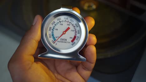 hand holding an oven thermometer