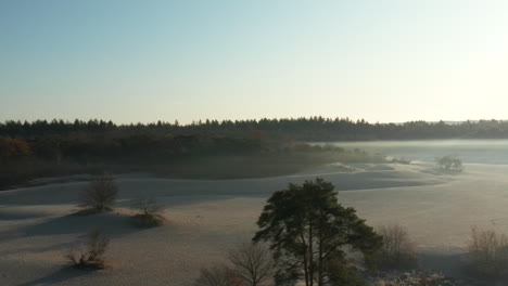 Niebla-Ligera-Sobre-Soesterduinen,-Dunas-De-Soester-Con-Bosque-Denso-Por-La-Mañana-En-La-Provincia-De-Utrecht,-Países-Bajos