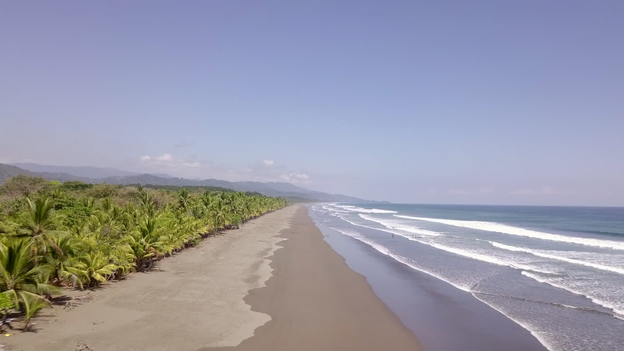 Toma aérea en movimiento de una larga playa costarricense con palmeras y olas