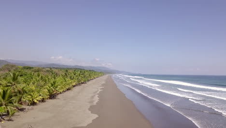 Toma-Aérea-En-Movimiento-De-La-Larga-Playa-Costarricense-Con-Palmeras-Y-Olas