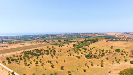 Gelbe-Gemähte-Felder-Mit-Niedrigen-Grünen-Bäumen-Und-Blauem-Himmel