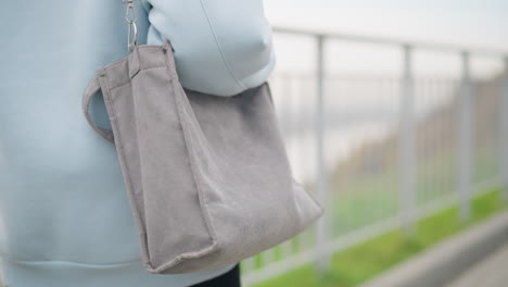 rear view of young girl in casual wear walking near iron rail fence with blurred background, featuring green grass and peaceful outdoor scene