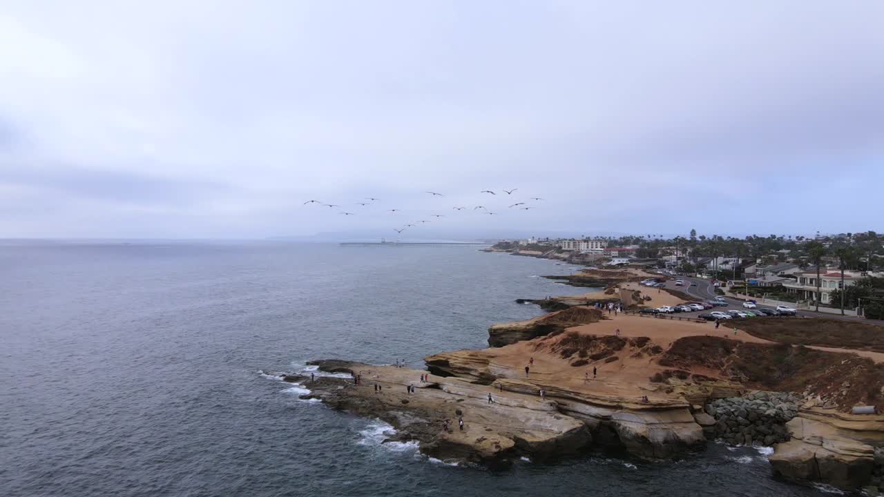 태평양 해변 샌디에고 캘리포니아에서 일몰 절벽 위로 날아가는 펠리컨을 따라 공중