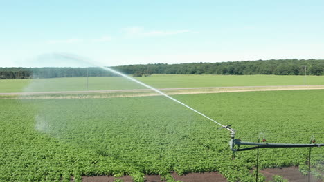 farm irrigation sprinkler watering lush field during daytime