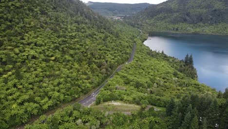 tráfico junto al lago verde en rotorua nueva zelanda