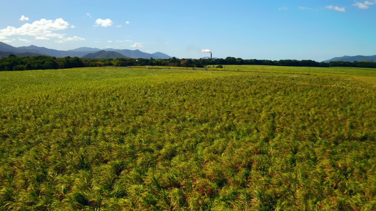 volando sobre campos verdes en cairns, queensland, australia durante el verano - disparo de drones