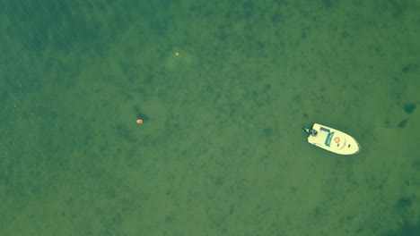 Top-down-shot-showing-anchored-speedboat-on-crystal-clear-ocean-in-summer,aerial