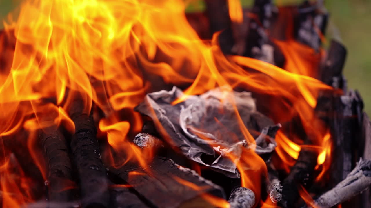 Flames of bonfire. Beautiful red forks of flame. Burnt wood. Power of fire. Video.
