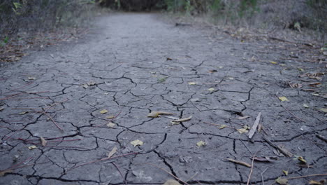 Tierra-Seca-Y-Agrietada-Por-Falta-De-Agua.