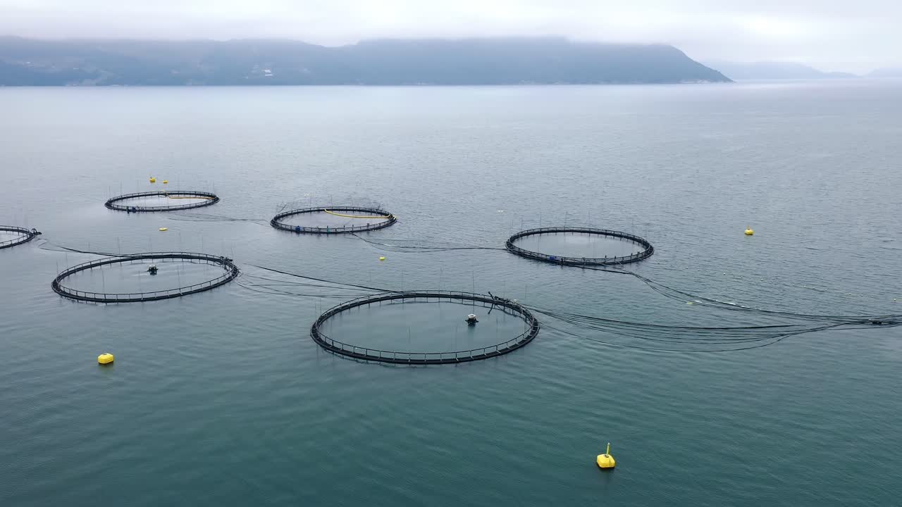 노르웨이에서 연어  ⁇ 시를 하는 공중 촬영