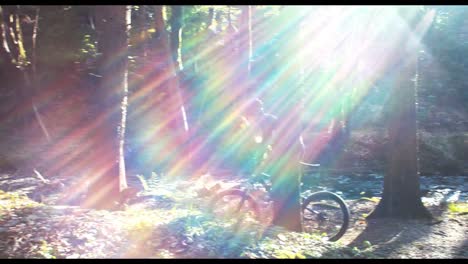 mountain biker riding bicycle in forest