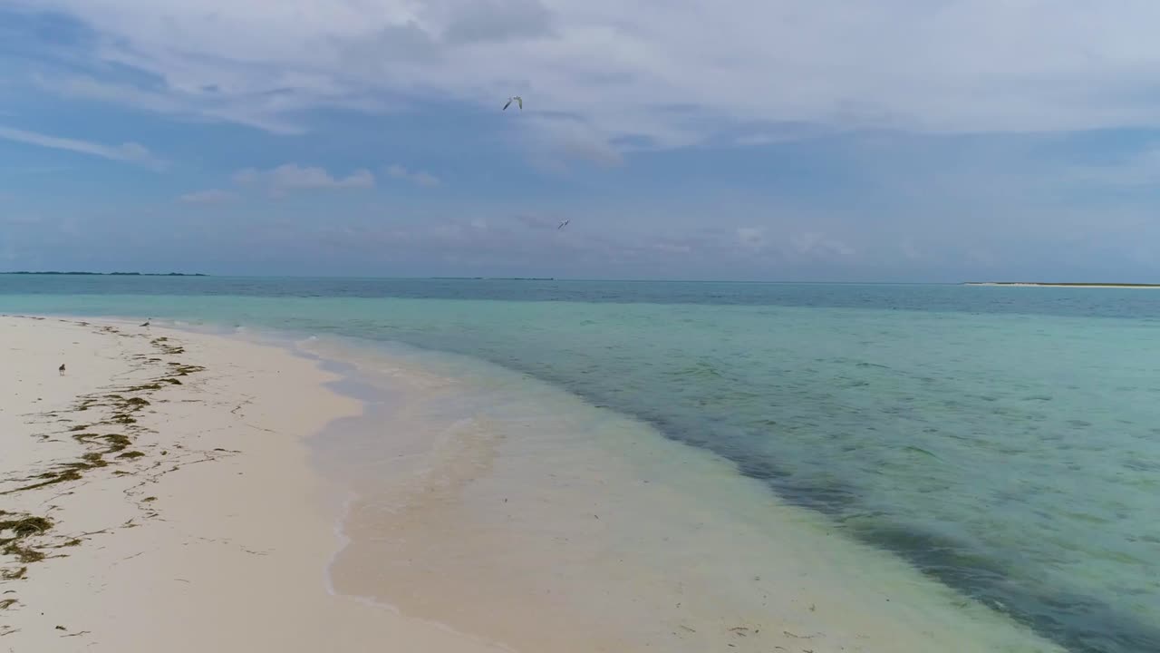 Sea sand and Serenity Beachside tropical escape, pan left Los Roques Archipelago