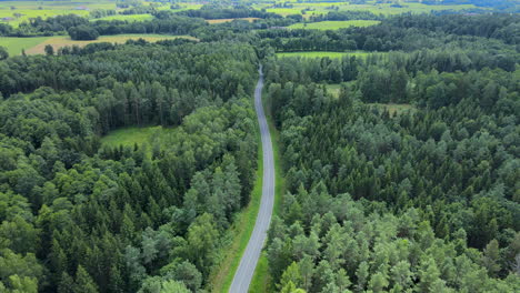 aerial shot of driving car on road surrounded by green forest trees outdoors