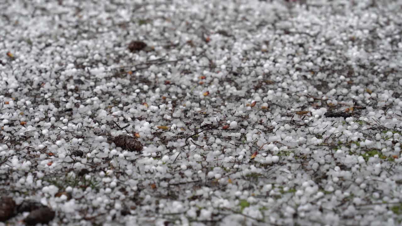 Close-up de granizo em formato de pipoca cobrindo o chão, pelotas de gelo quicando, súbito e inesperado.