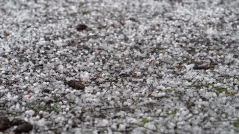 Closeup-of-random-popcorn-hail-covering-the-ground,-bouncing-ice-pellets,-sudden,-unexpected