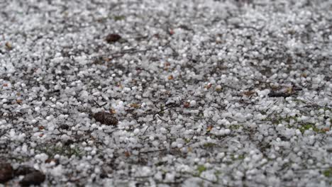 primer plano de granizo de palomitas de maíz al azar que cubre el suelo, rebotando gránulos de hielo, repentino, inesperado