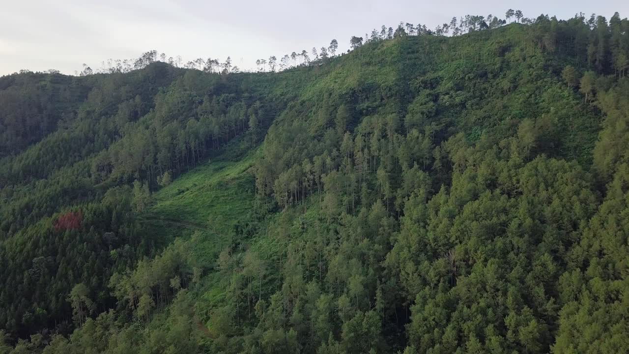 vista aérea de drones de la colina y el bosque en el país tropical de indonesia