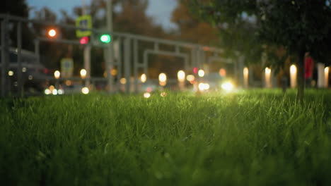 close up of fresh green grass with blurred iron railing in background as car headlights shimmer during evening traffic, creating glowing light bokeh with urban scenery and trees in soft focus