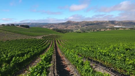 beautiful aerial of hilly vineyards in the grape growing region of californias santa rita appellation 8