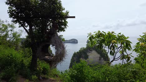 bird's nest photo spot and straw swing chair with dramatic ocean view, nusa penida