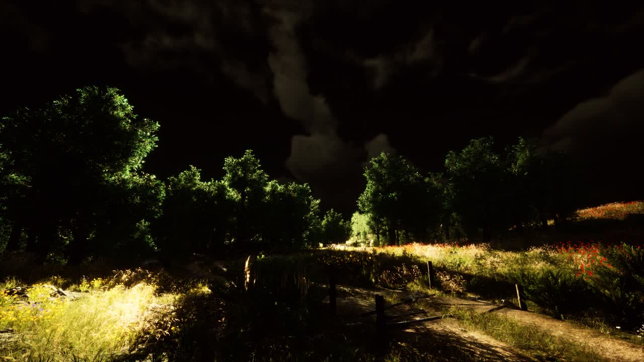 nubes de tormenta eléctrica con relámpagos en el prado verde