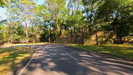 carretera del parque escénico con árboles y valla de bambú