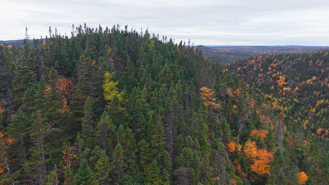 Drone footage shows rugged cliffs and rolling ridges with orange and green foliage