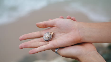 hands holding sea shell at ocean shore closeup. holiday vacation memories.