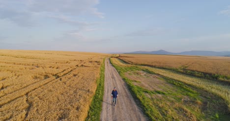 investigador agrícola masculino de pie en un camino de tierra en medio de los campos 4