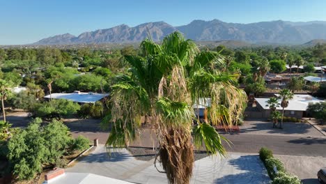 southwest usa neighborhood: sprawling desert homes, palm trees, with mountain backdrop