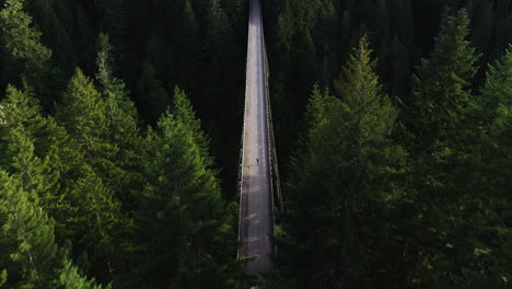 aerial tilt shot following a person running on the high steel bridge, in wa, usa