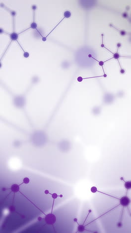 purple polygonal plexus background. neural network. abstract futuristic science and technology animation. lines and points. vertical video.