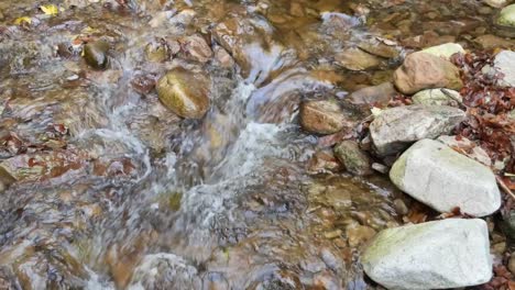 Schöner-Bach,-Der-Den-Hügel-Am-Allerheiligen-Wasserfall-Im-Schwarzwald,-Deutschland,-Hinunterläuft