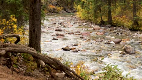 johnston creek en el parque nacional de banff, antes de unirse al río bow