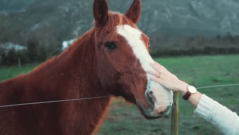 Sesión-Cinematográfica-De-Una-Mujer-Acariciando-Un-Caballo,-Parada-Afuera-En-Un-Campo-Abierto