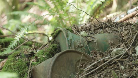 Plants-and-moss-growing-over-old-rusty-metal-barrels-in-a-forest