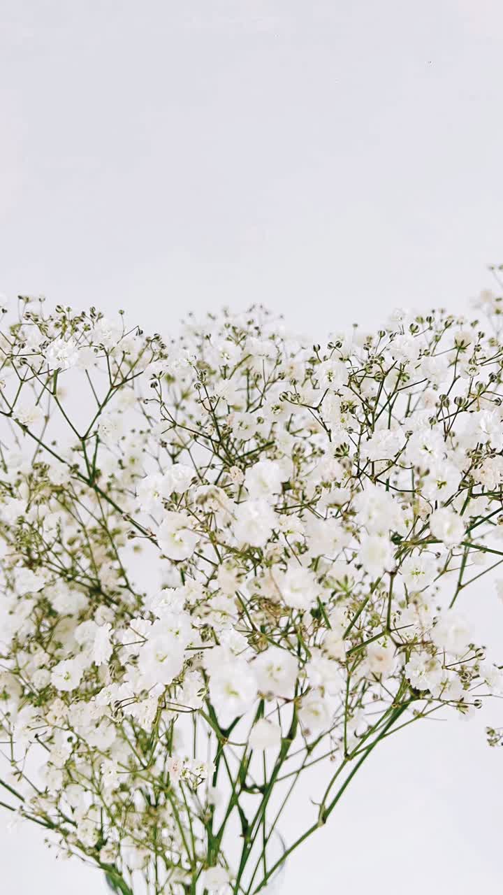 красивый букет с дыханием белого ребенка