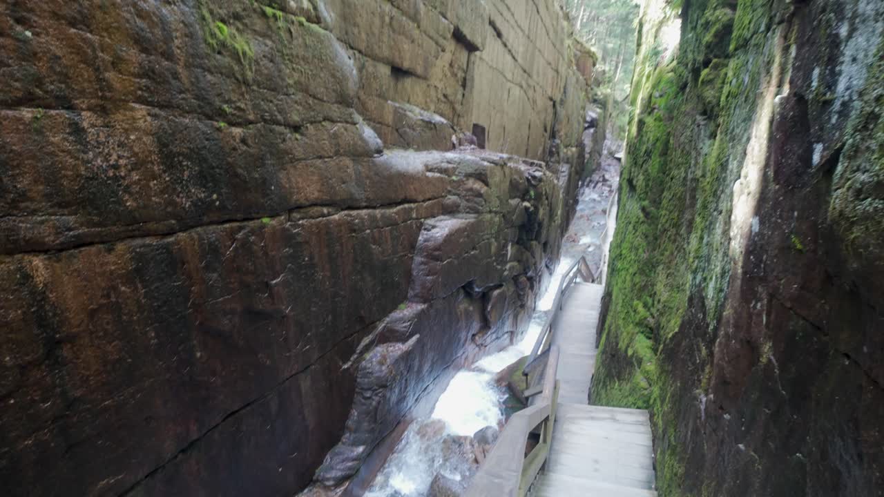 Flume Gorge trail follows stream through towering rock walls and dense forest