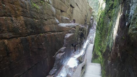 flume gorge trail follows stream through towering rock walls and dense forest