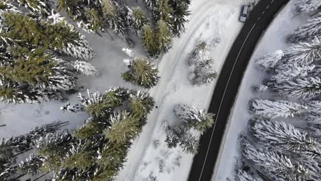 Camino-Ventoso-Con-Curvas-En-El-Bosque-Cubierto-De-Nieve,-Vista-Aérea-De-Arriba-Hacia-Abajo