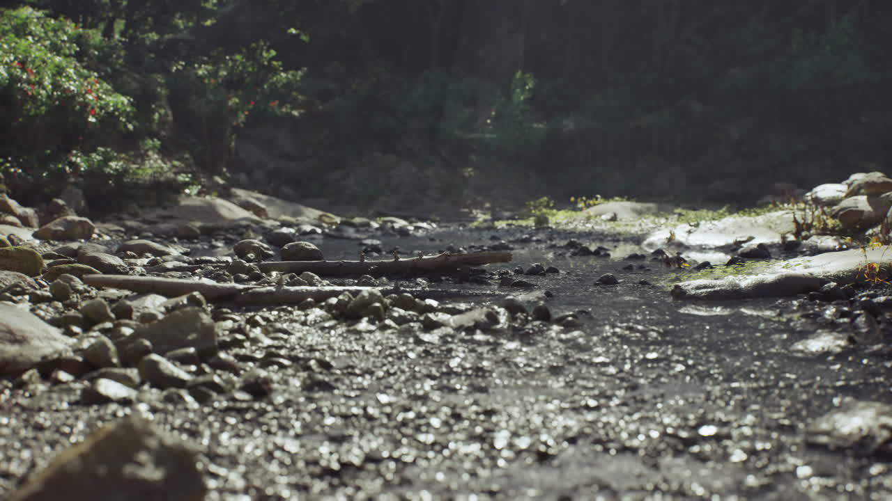 Esplorare un torrente roccioso in Madagascar durante la luce del primo mattino