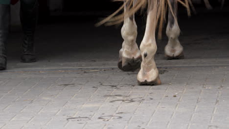 Toma-De-Detalle-De-Los-Cascos-De-Un-Caballo-Caminando-Sobre-Adoquines,-Enfatizando-El-Movimiento-Y-La-Fuerza-De-Las-Patas-Del-Caballo.