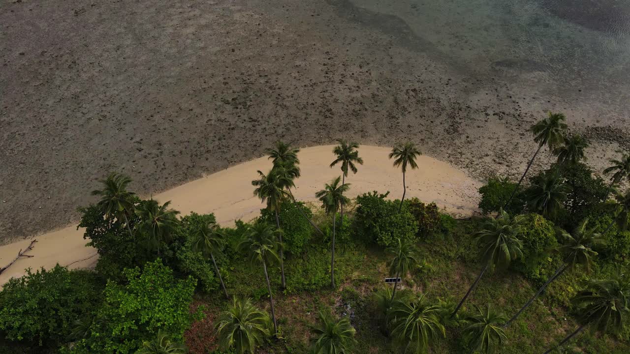 앞으로 나아가는 열대 풍경 야자수 섬 해안선 위의 공중 조감도