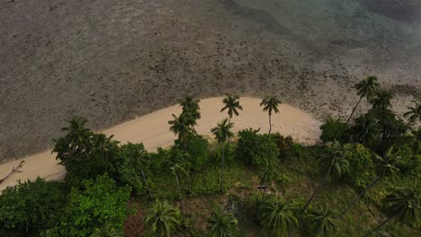 Vogelperspektive-Aus-Der-Luft-über-Der-Tropischen-Landschaft-Der-Palmeninsel,-Die-Sich-Vorwärts-Bewegt