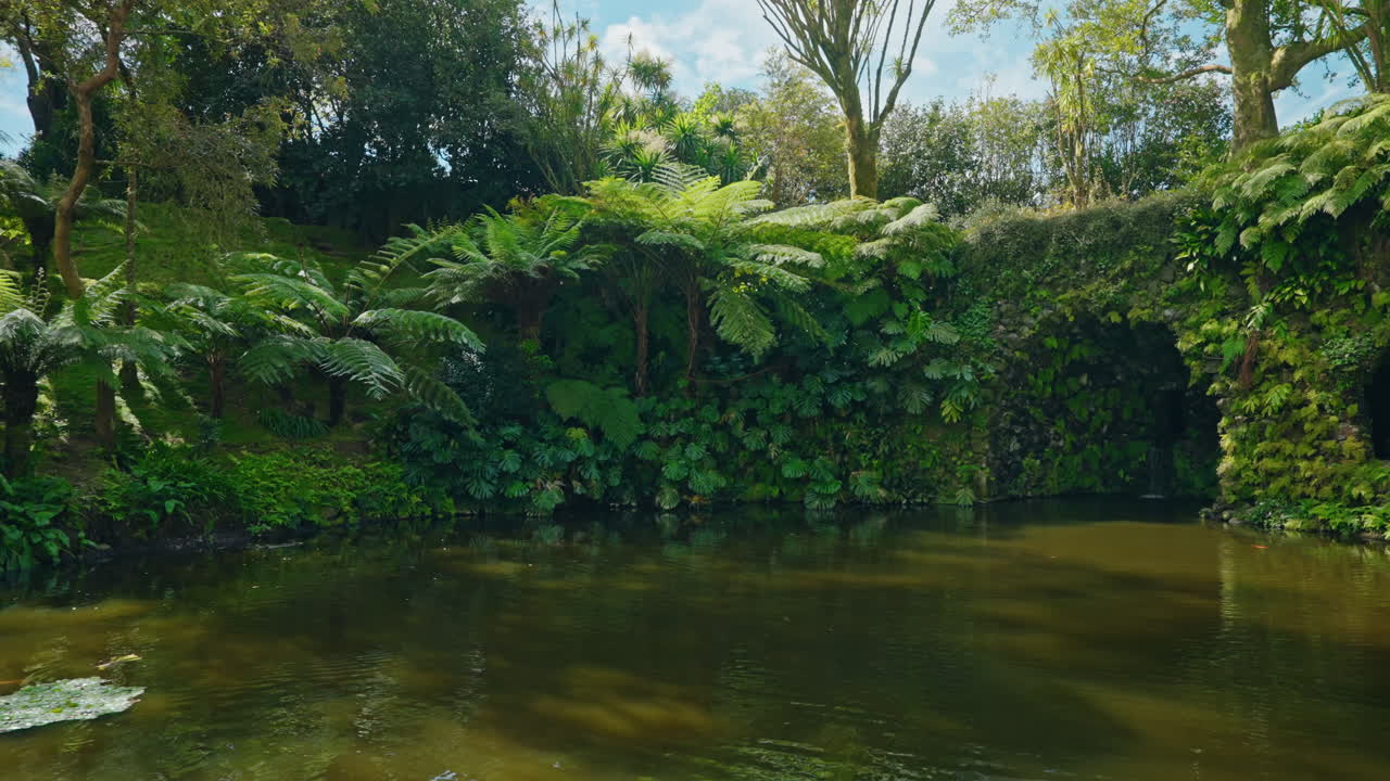 cámara de cámara lenta moviéndose hacia adelante revelando verde exuberante bosque tropical y un río que cruza a través del parque natural