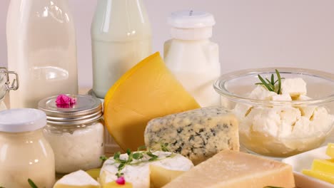 variety of dairy products